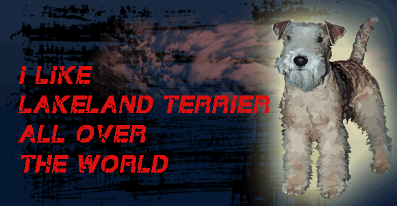 So könnte es dann fertig aussehen!