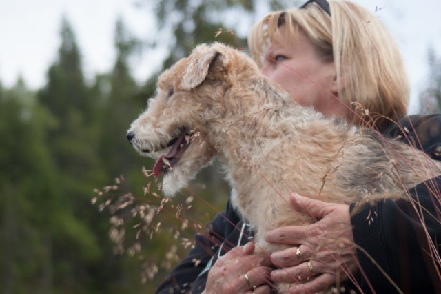 DSC09269 (FILEminimizer).jpg