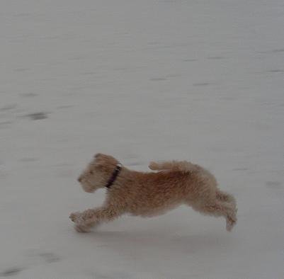 Und lauf mich mal ein bißchen warm.