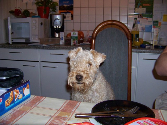 Testbild Tschibo 014.jpg