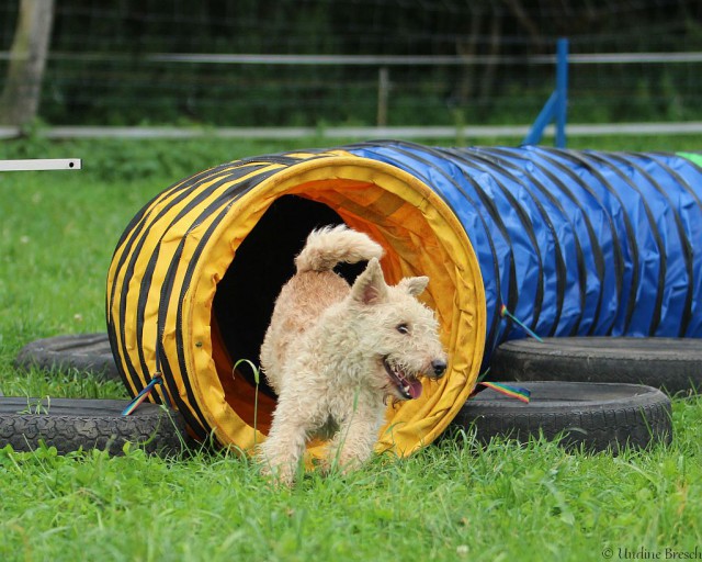 Solli kommt aus dem Tunnel